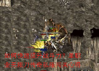 如何快速提升战斗力?单职业无限刀传奇私服闯关心得 如何快速提升战斗力?单职业无限刀传奇私服闯关心得