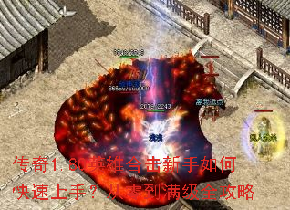 ����1.80Ӣ�ۺϻ�������ο������֣����㵽����ȫ����