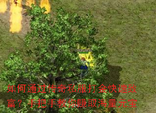 如何通过传奇私服打金快速致富?手把手教你赚取海量元宝 如何通过传奇私服打金快速致富?手把手教你赚取海量元宝