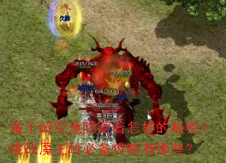 ħ���뾿�����������������ܣ���սħ����ر���������Щ��