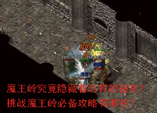 ħ���뾿�����������������ܣ���սħ����ر���������Щ��