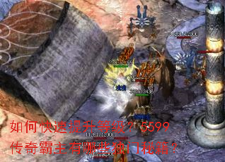 ��ο��������ȼ���5599�����������Щ�����ؼ���