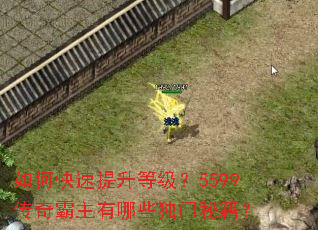 ��ο��������ȼ���5599�����������Щ�����ؼ���