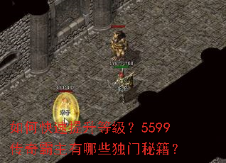 ��ο��������ȼ���5599�����������Щ�����ؼ���