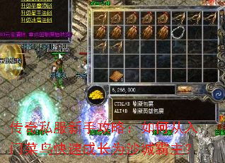 传奇私服新手攻略:如何从入门菜鸟快速成长为沙城霸主? 传奇私服新手攻略:如何从入门菜鸟快速成长为沙城霸主?