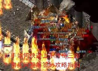 ������ο������ִ��������������������빥��ָ��