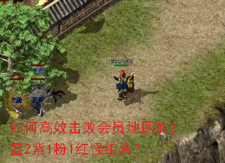 ��θ�Ч���ܻ�Ա��ͼ��2��2��1��1�����ϣ�