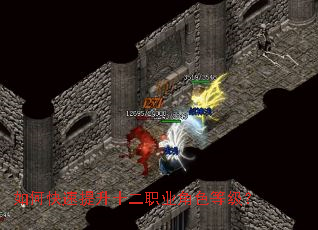 ��ο�������ʮ��ְҵ��ɫ�ȼ���