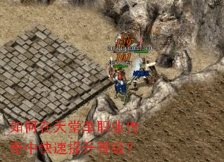 ��������õ�ְҵ�����п��������ȼ���