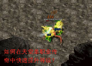 ��������õ�ְҵ�����п��������ȼ���