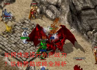 ��ο���������ɫս����������������ȫ����