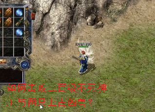 如何击败三百级不死神王与两只上古凶兽? 如何击败三百级不死神王与两只上古凶兽?