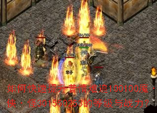 ��ο�������������׷100100ħ����֮������301550253�ĵȼ���ս����