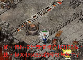 ��ο�������������׷100100ħ����֮������301550253�ĵȼ���ս����