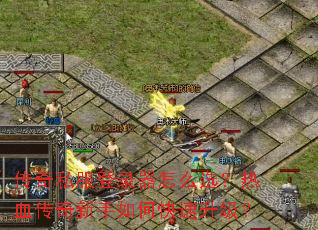 ����˽����¼����ôѡ����Ѫ����������ο���������