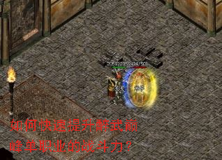 如何快速提升醉武巅峰单职业的战斗力? 如何快速提升醉武巅峰单职业的战斗力?