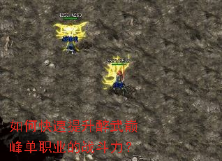 如何快速提升醉武巅峰单职业的战斗力? 如何快速提升醉武巅峰单职业的战斗力?