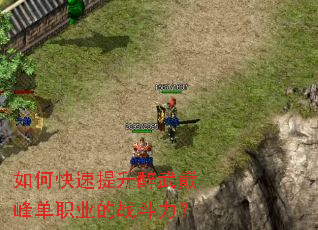 如何快速提升醉武巅峰单职业的战斗力? 如何快速提升醉武巅峰单职业的战斗力?