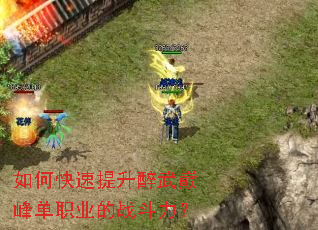 如何快速提升醉武巅峰单职业的战斗力? 如何快速提升醉武巅峰单职业的战斗力?