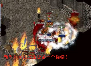 新手如何快速击败第一个怪物? 新手如何快速击败第一个怪物?