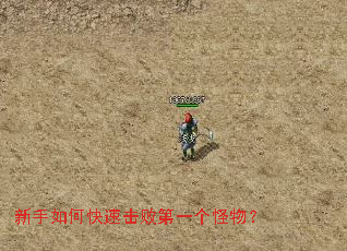 新手如何快速击败第一个怪物? 新手如何快速击败第一个怪物?