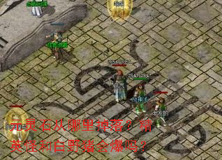 元灵石从哪里掉落?精英怪和白野猪会爆吗? 元灵石从哪里掉落?精英怪和白野猪会爆吗?