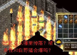 元灵石从哪里掉落?精英怪和白野猪会爆吗? 元灵石从哪里掉落?精英怪和白野猪会爆吗?