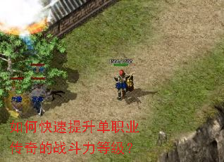 ��ο���������ְҵ�����ս�����ȼ���