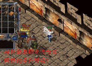 ����¼��ְҵ������ο��������ȼ���