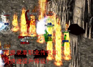 ����¼��ְҵ������ο��������ȼ���