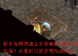 ������ο���������ҫ����Ѫ����˽�������㵽�ٵĿ���ָ���ڴ�