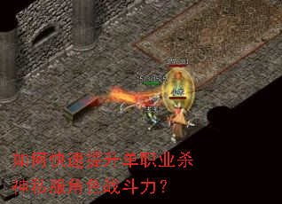 ��ο���������ְҵɱ��˽����ɫս������