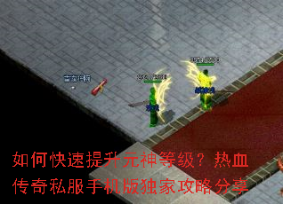 如何快速提升元神等级?热血传奇私服手机版独家攻略分享 如何快速提升元神等级?热血传奇私服手机版独家攻略分享