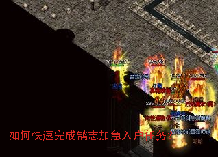 如何快速完成鹄志加急入户任务? 如何快速完成鹄志加急入户任务?