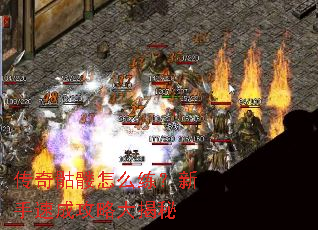 ����������ô���������ٳɹ��Դ����