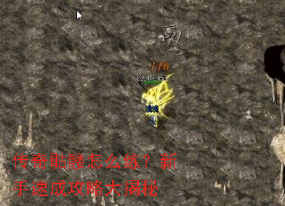 ����������ô���������ٳɹ��Դ����