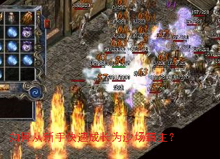 ��δ����ֿ��ٳɳ�Ϊɳ��������