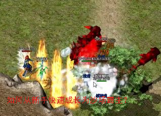 ��δ����ֿ��ٳɳ�Ϊɳ��������