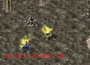 ��ο������������Ͷ򴫴��棿