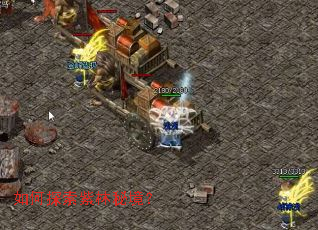 如何探索紫林秘境? 如何探索紫林秘境?