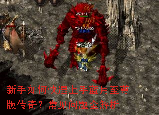 ������ο���������������洫�棿��������ȫ����