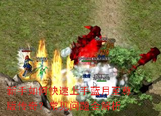 ������ο���������������洫�棿��������ȫ����