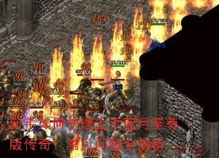 ������ο���������������洫�棿��������ȫ����