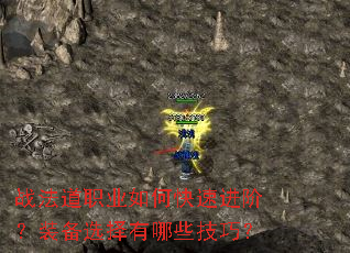 ս����ְҵ��ο��ٽ��ף�װ��ѡ������Щ���ɣ�