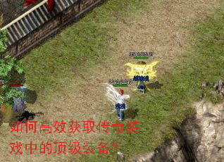 ��θ�Ч��ȡ������Ϸ�еĶ���װ����