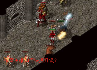 ����Ӣ����ο���������