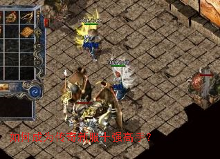 如何成为传奇新服十强高手? 如何成为传奇新服十强高手?