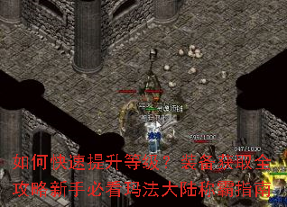 如何快速提升等级?装备获取全攻略新手必看玛法大陆称霸指南 如何快速提升等级?装备获取全攻略新手必看玛法大陆称霸指南