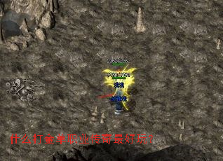 ʲô���ְҵ��������棿