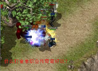 ʲô���ְҵ��������棿